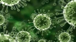 Virus Nipah Menelan Korban di Bangladesh, Ini Kronologinya