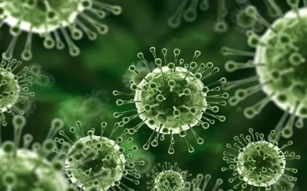 Virus Nipah Menelan Korban di Bangladesh, Ini Kronologinya