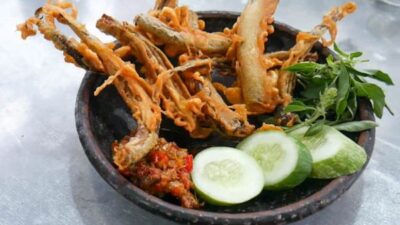 Kaya Protein dan Omega-3, Ini Manfaat Belut bagi Kesehatan Tubuh